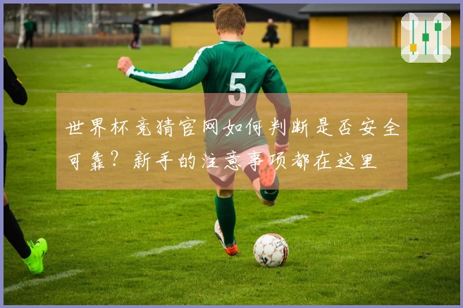 世界杯竞猜官网如何判断是否安全可靠？新手的注意事项都在这里