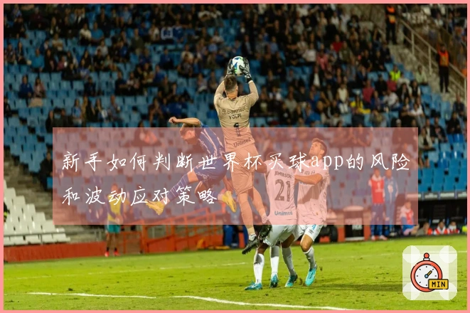 新手如何判断世界杯买球app的风险和波动应对策略